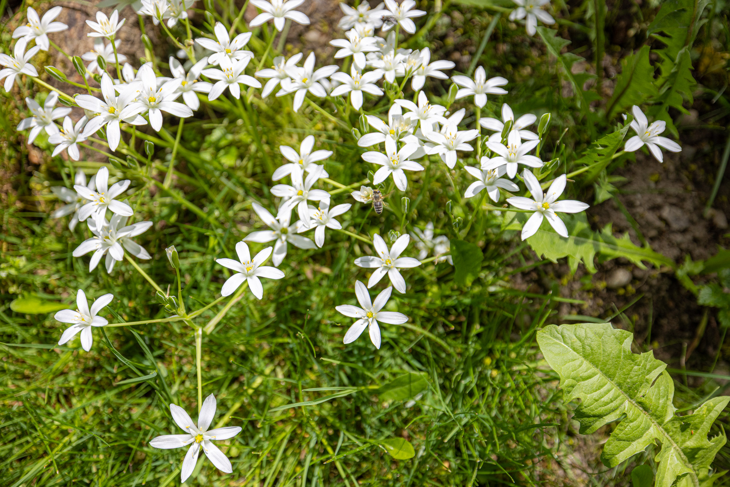 20230507143658 R5D 1056